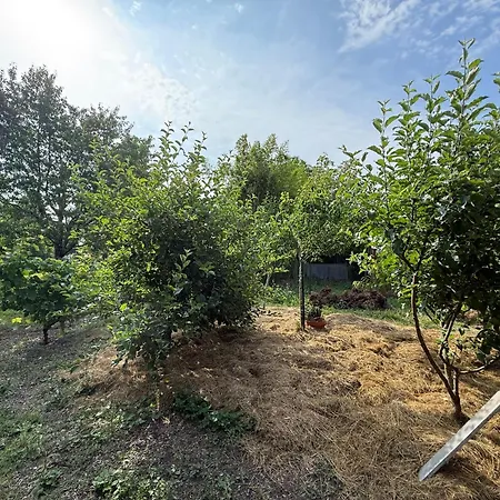Maison Desclaude Avec Jardin בית נופש סנטה